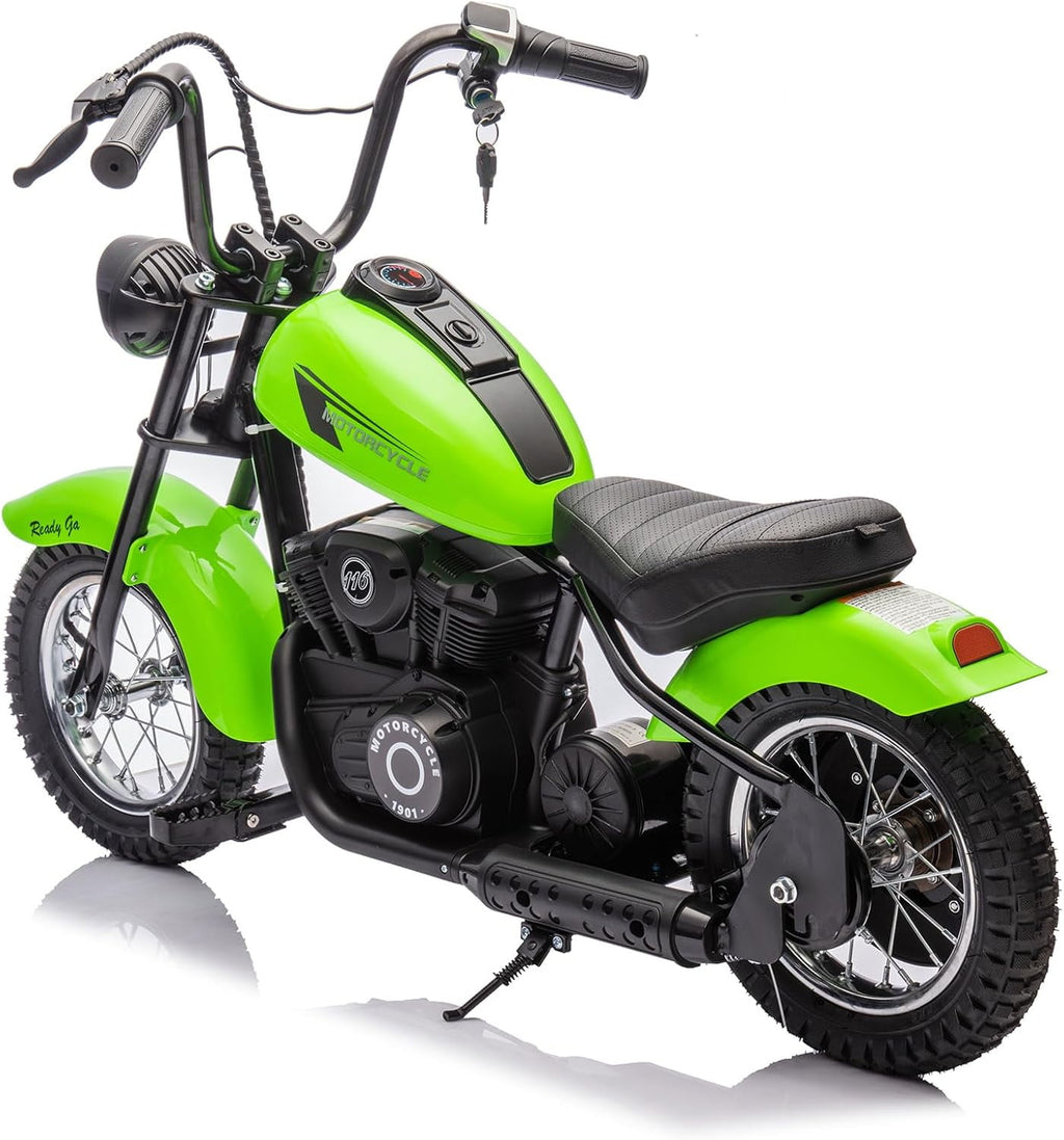 24V Electric Dirt Bike, 300W Chain-Driven Motor, Up to 15 MPH, 2-Speed, 10-Mile Range, 12" Air-Filled Rubber Tires, Leather Seat, Hand Brake, LED Lights, 150 Lbs