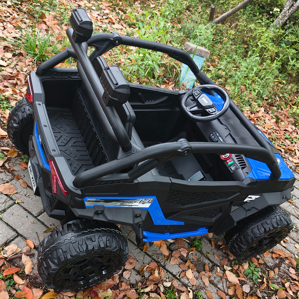 Sunnyfree 24 Volt Ride on Toys for Kids, 4WD 2 Seater Electric UTV Ride on Car with 800W Powerful Motors, Remote Control, Power Car Wheels, Four-Wheel Suspension, Bluetooth Music, LED Lights, Black