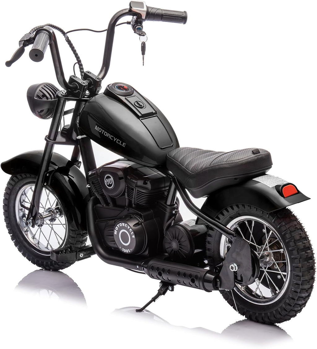 24V Electric Dirt Bike, 300W Chain-Driven Motor, Up to 15 MPH, 2-Speed, 10-Mile Range, 12" Air-Filled Rubber Tires, Leather Seat, Hand Brake, LED Lights, 150 Lbs