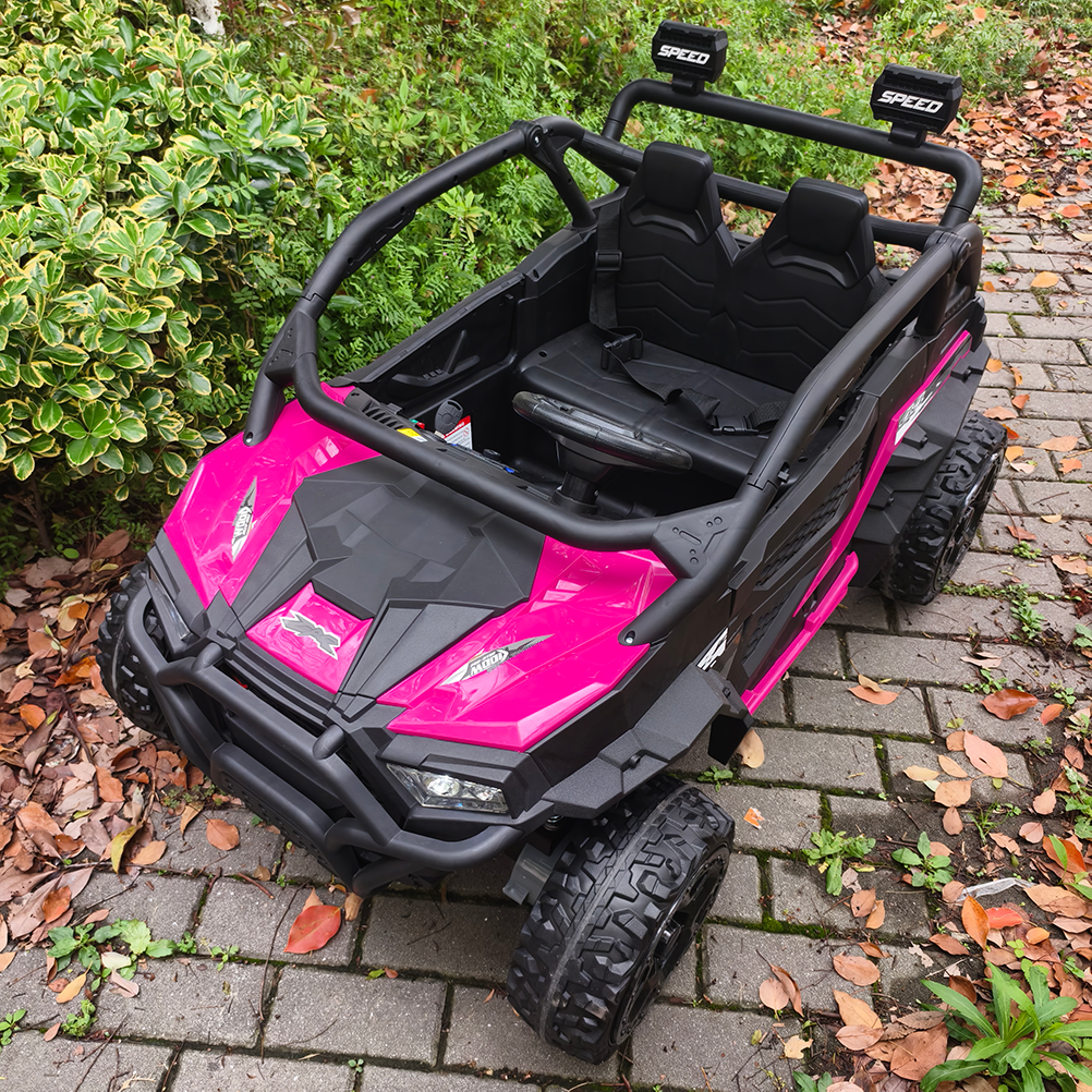 Sunnyfree 24 Volt Ride on Toys for Kids, 4WD 2 Seater Electric UTV Ride on Car with 800W Powerful Motors, Remote Control, Power Car Wheels, Four-Wheel Suspension, Bluetooth Music, LED Lights, Black