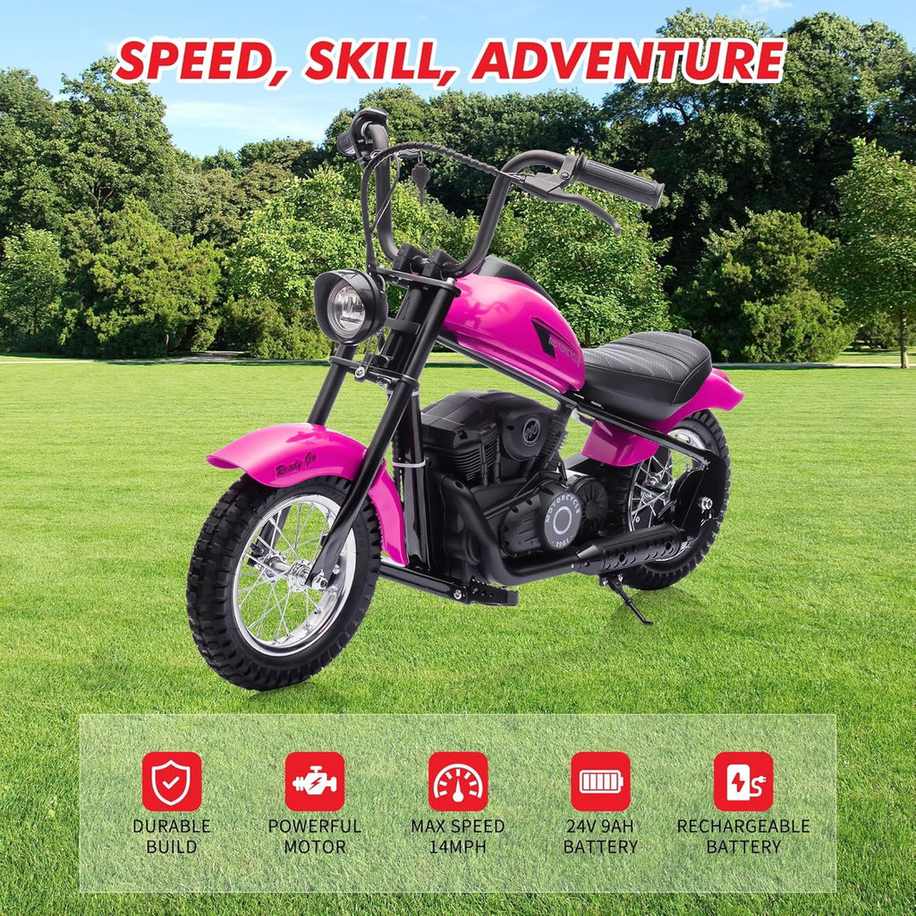 24V Electric Dirt Bike, 300W Chain-Driven Motor, Up to 15 MPH, 2-Speed, 10-Mile Range, 12" Air-Filled Rubber Tires, Leather Seat, Hand Brake, LED Lights, 150 Lbs