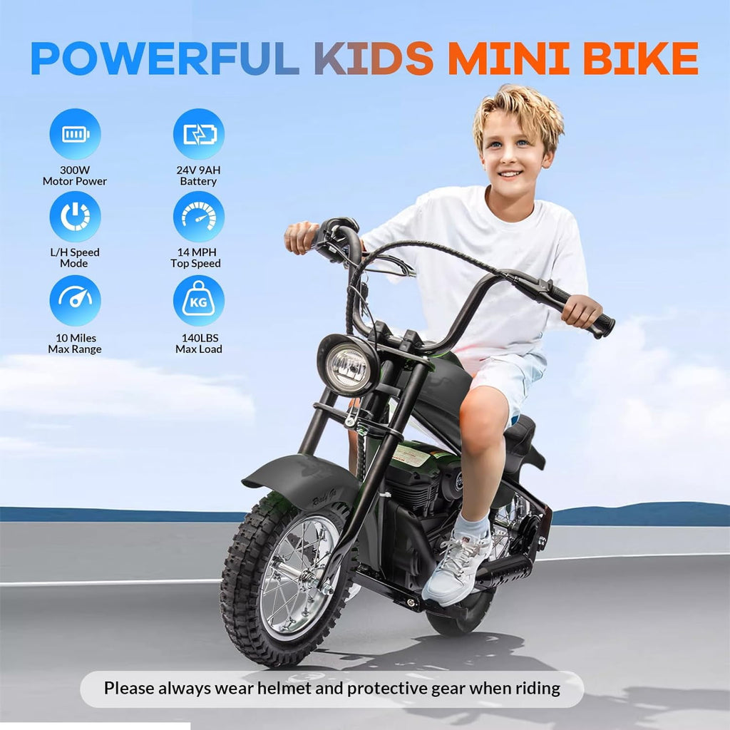 24V Electric Dirt Bike, 300W Chain-Driven Motor, Up to 15 MPH, 2-Speed, 10-Mile Range, 12" Air-Filled Rubber Tires, Leather Seat, Hand Brake, LED Lights, 150 Lbs