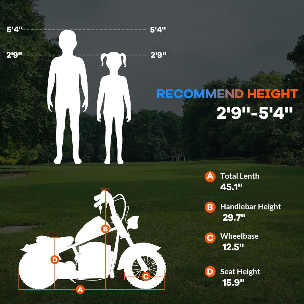 24V Electric Dirt Bike, 300W Chain-Driven Motor, Up to 15 MPH, 2-Speed, 10-Mile Range, 12" Air-Filled Rubber Tires, Leather Seat, Hand Brake, LED Lights, 150 Lbs