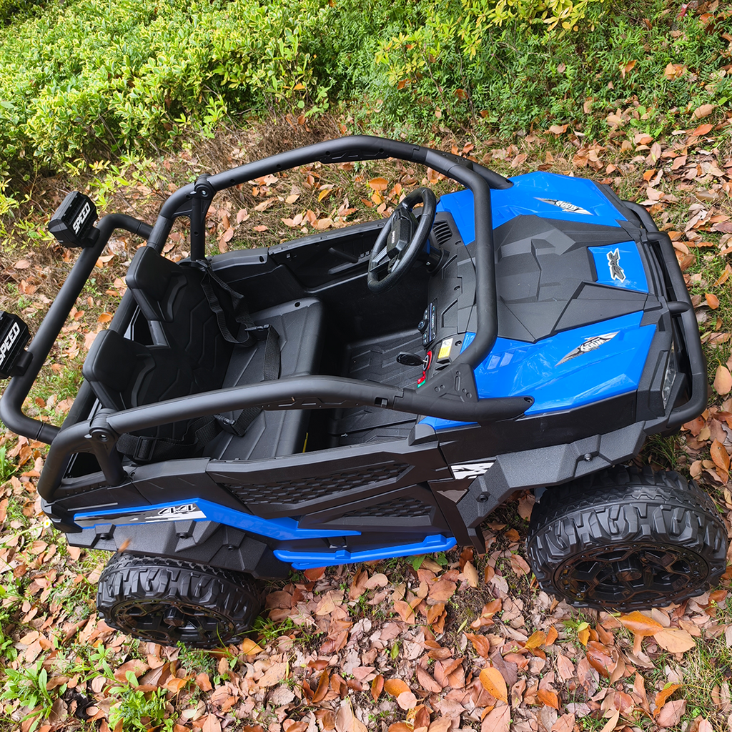 Sunnyfree 24 Volt Ride on Toys for Kids, 4WD 2 Seater Electric UTV Ride on Car with 800W Powerful Motors, Remote Control, Power Car Wheels, Four-Wheel Suspension, Bluetooth Music, LED Lights, Black
