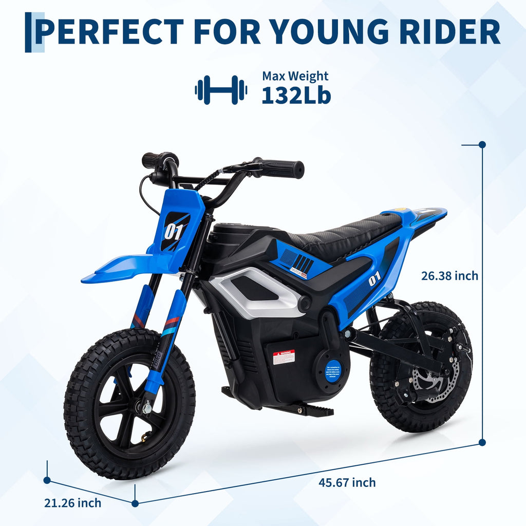 24V Kids Electric Dirt Bike, 350W Battery Powered Motorcycle with 12 Inch Fat Tires Rear Suspension Twist Throttle for Teens