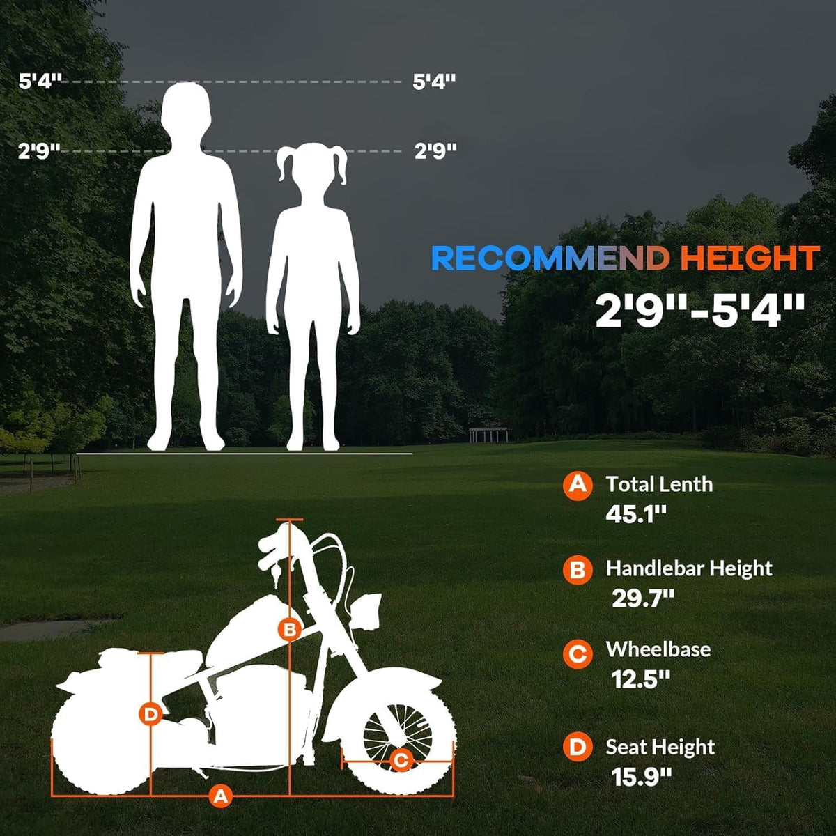 24V Electric Dirt Bike, 300W Chain-Driven Motor, Up to 15 MPH, 2-Speed, 10-Mile Range, 12" Air-Filled Rubber Tires, Leather Seat, Hand Brake, LED Lights, 150 Lbs