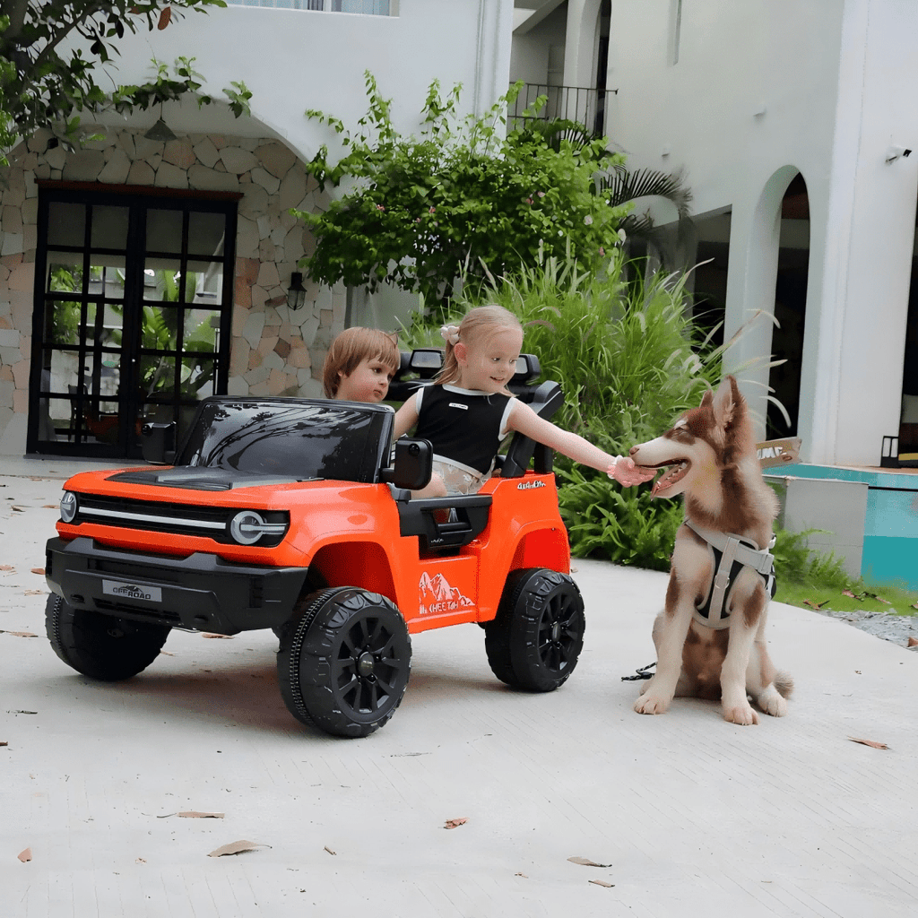 Farmdex 24V Ride on Toys with Remote Control, 2 XL Seater Electric Truck Car for Kids w/ 22'' Large Seat, 4WD/2WD Switchable, Powered Ride on Cars w/ Bluetooth, LED Lights, 3 Speeds, 4 x 200W, Pink